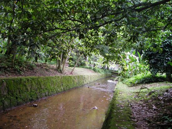 Canal d'irrigation, manquent les gondoles