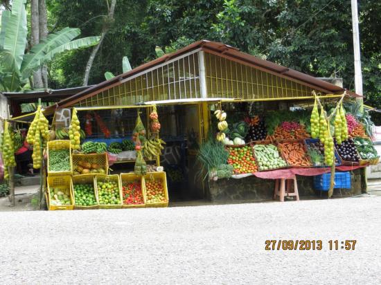 Les fruits et légumes du Venezuela