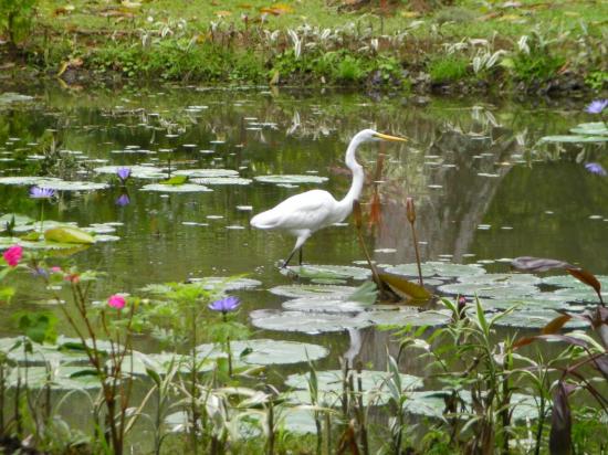 un habitant pêcheur